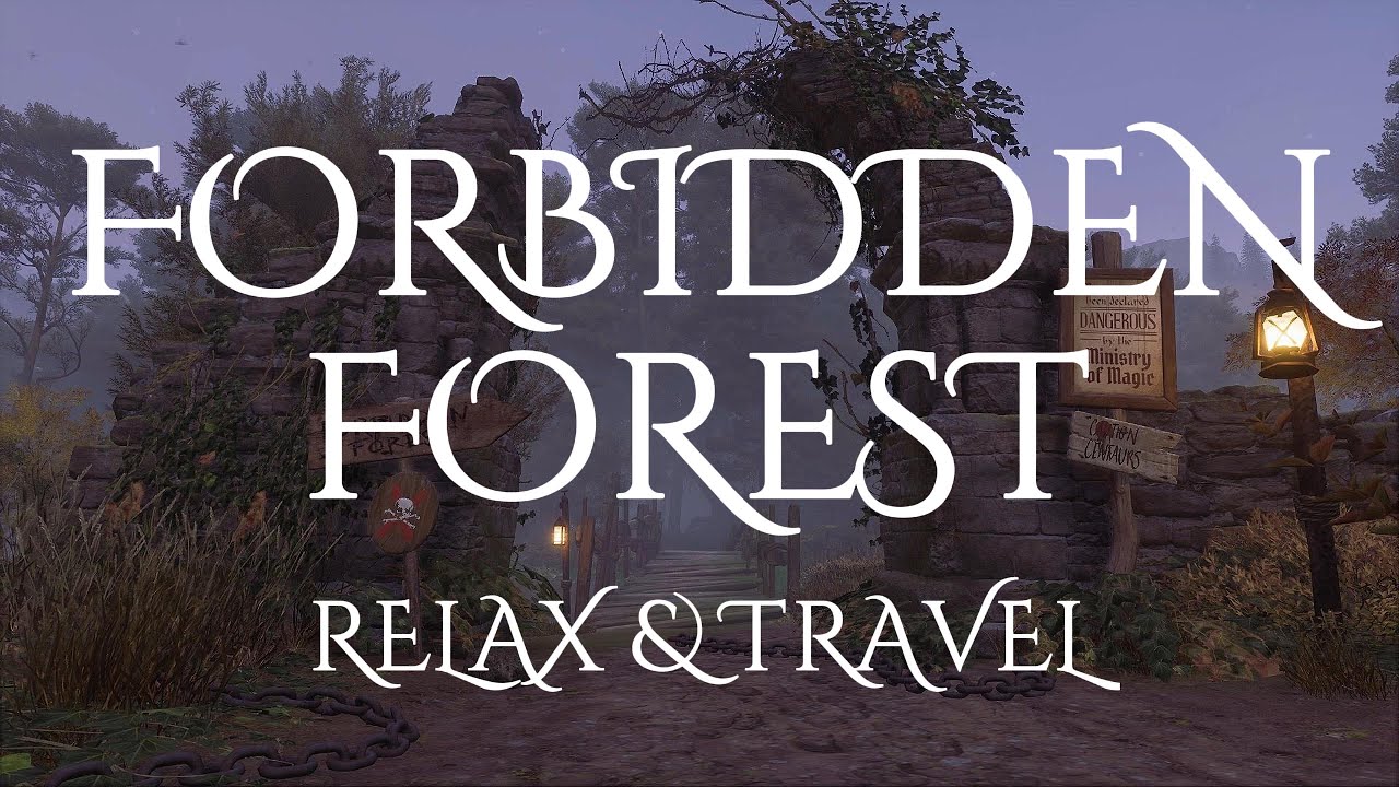 Forbidden Forest 🌲🌙 | Magical Ambience & Relaxing Music
