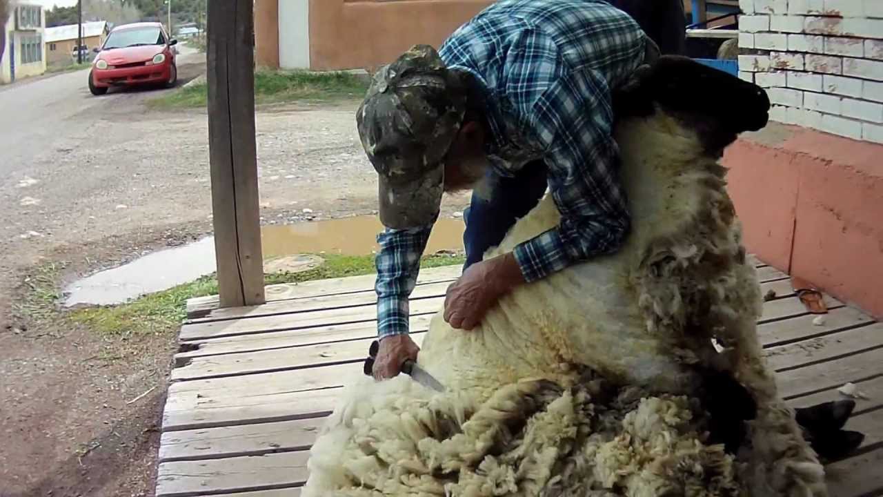 Handmade: From Sheep to Rug