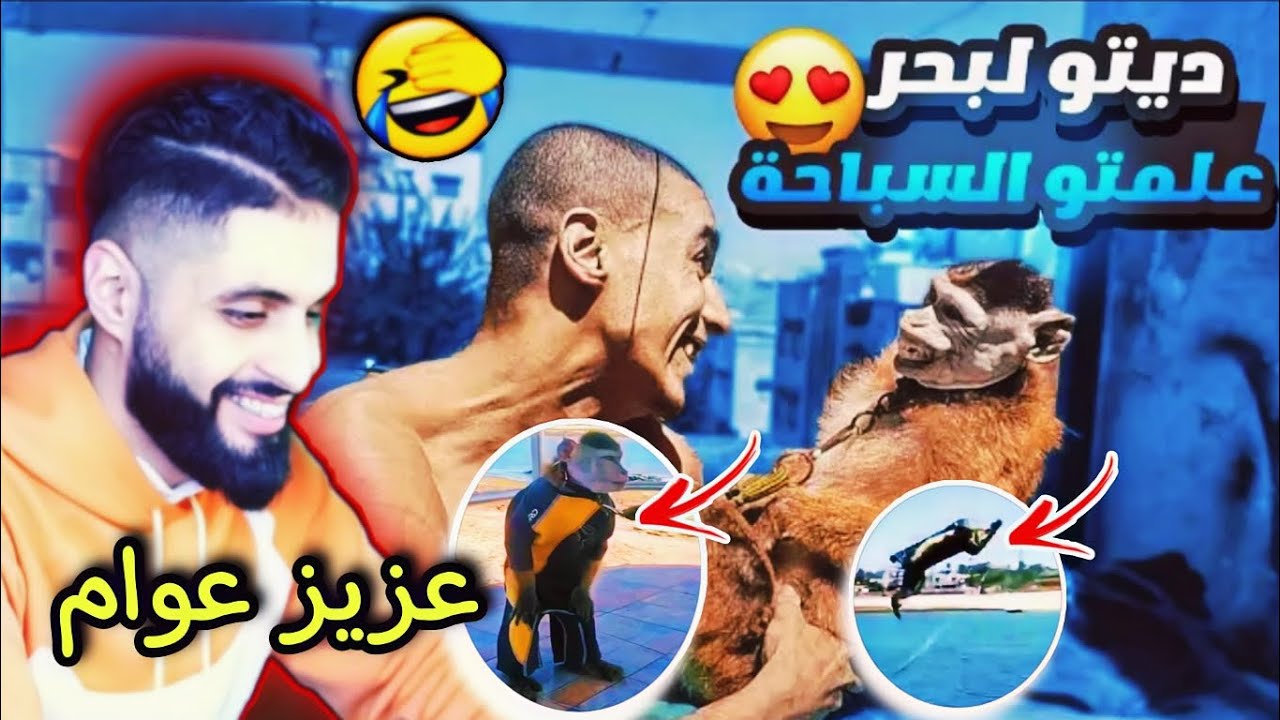 ردة فعل muslim333 الهربة مع هاد bn nsns 🤣 عزيز كيعوم على ظهره 😂 لموت ديال الضحك