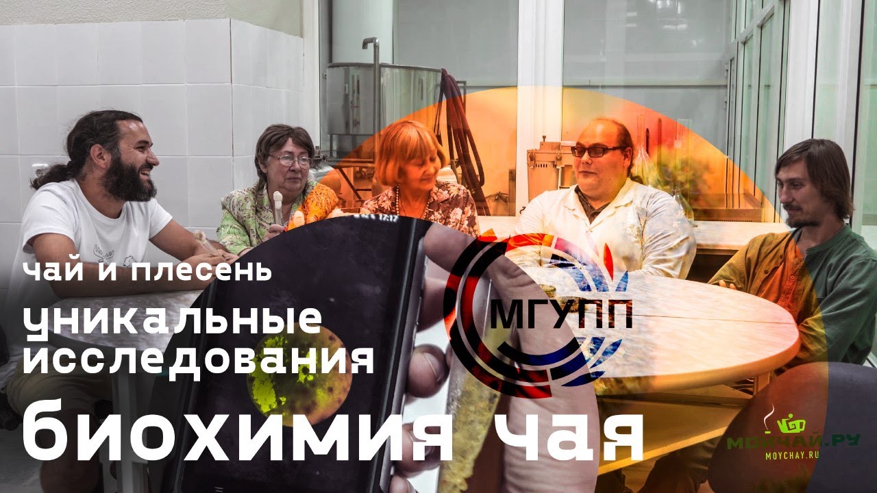 Биохимия Чая. Уникальные исследования. Чай и плесень.  МГУПП
