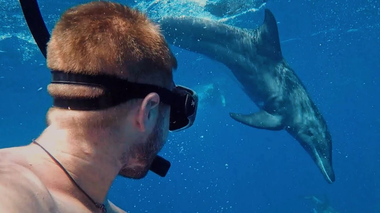 Reflecting on Life as a Marine Conservation Volunteer in Utila, Honduras // Coral Reefs & WSORC