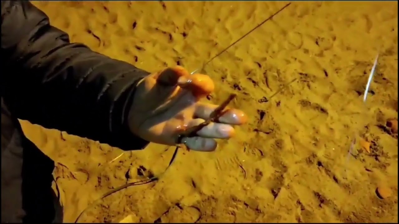 Surfcasting Balık Avı - Minekop-Levrek-Çin Kurdu-Sülünez