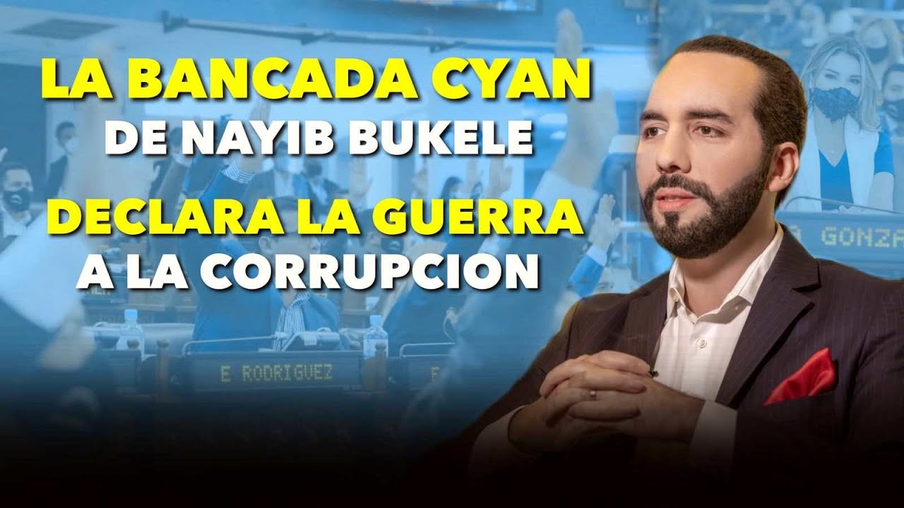 Nayib Bukele declara la guerra a la corrupci&oacute;n con la bancada cyan 😱