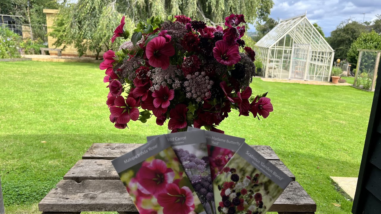 Malope Arrangement (including Wild Carrot, Snapdragons and Scabious)