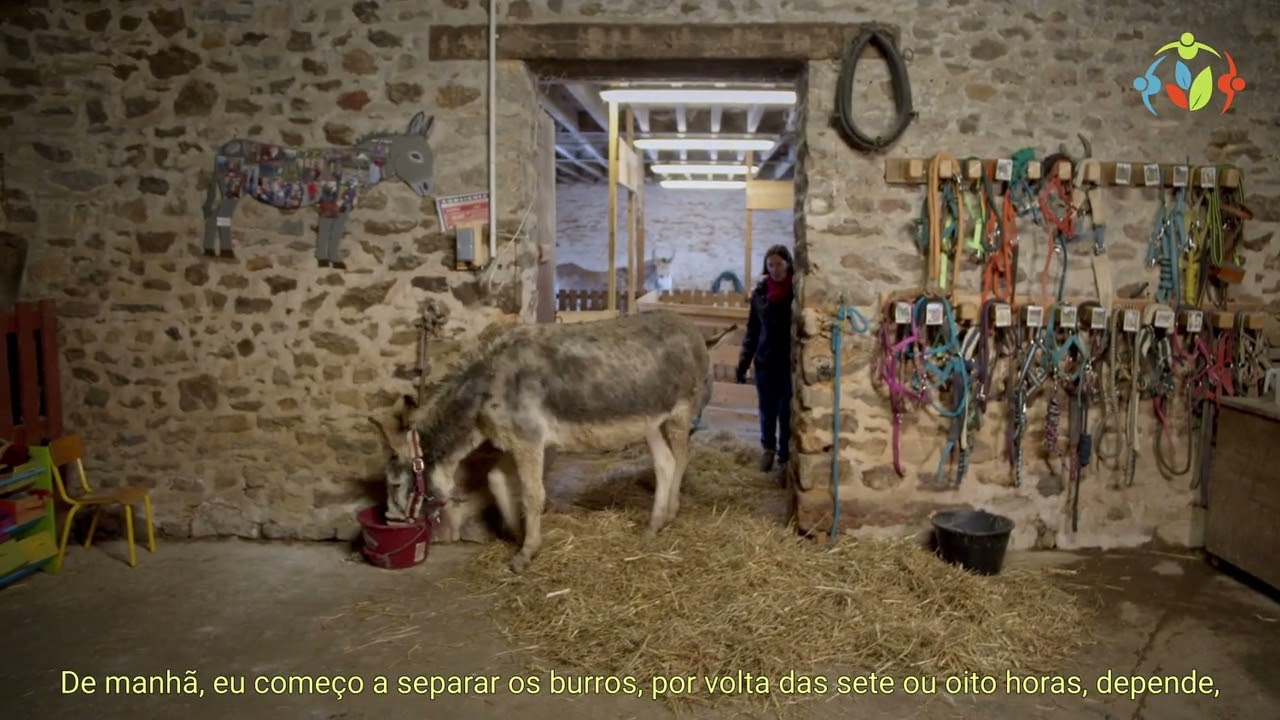 VIDEO 4 | La production du lait d'ânesse