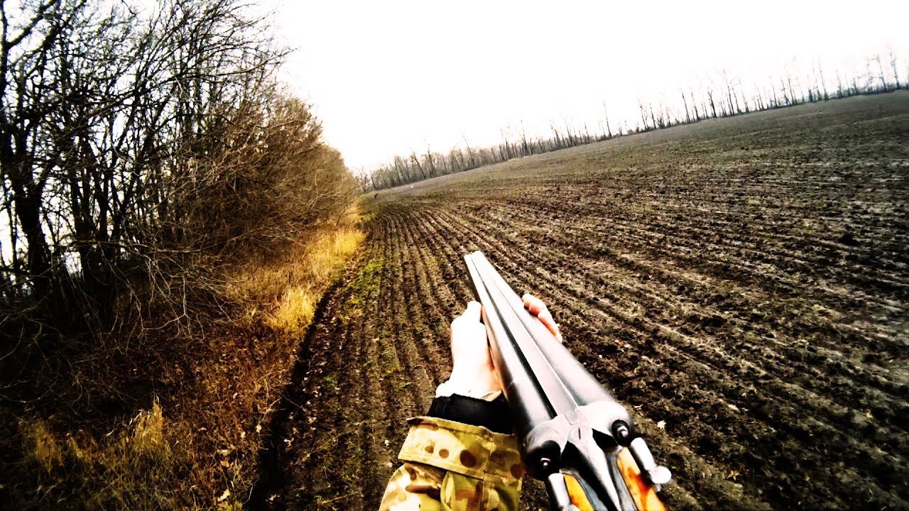 Три работы дратхаара по зайцу: в посадке и в поле  - Охота на зайца / Hare hunting