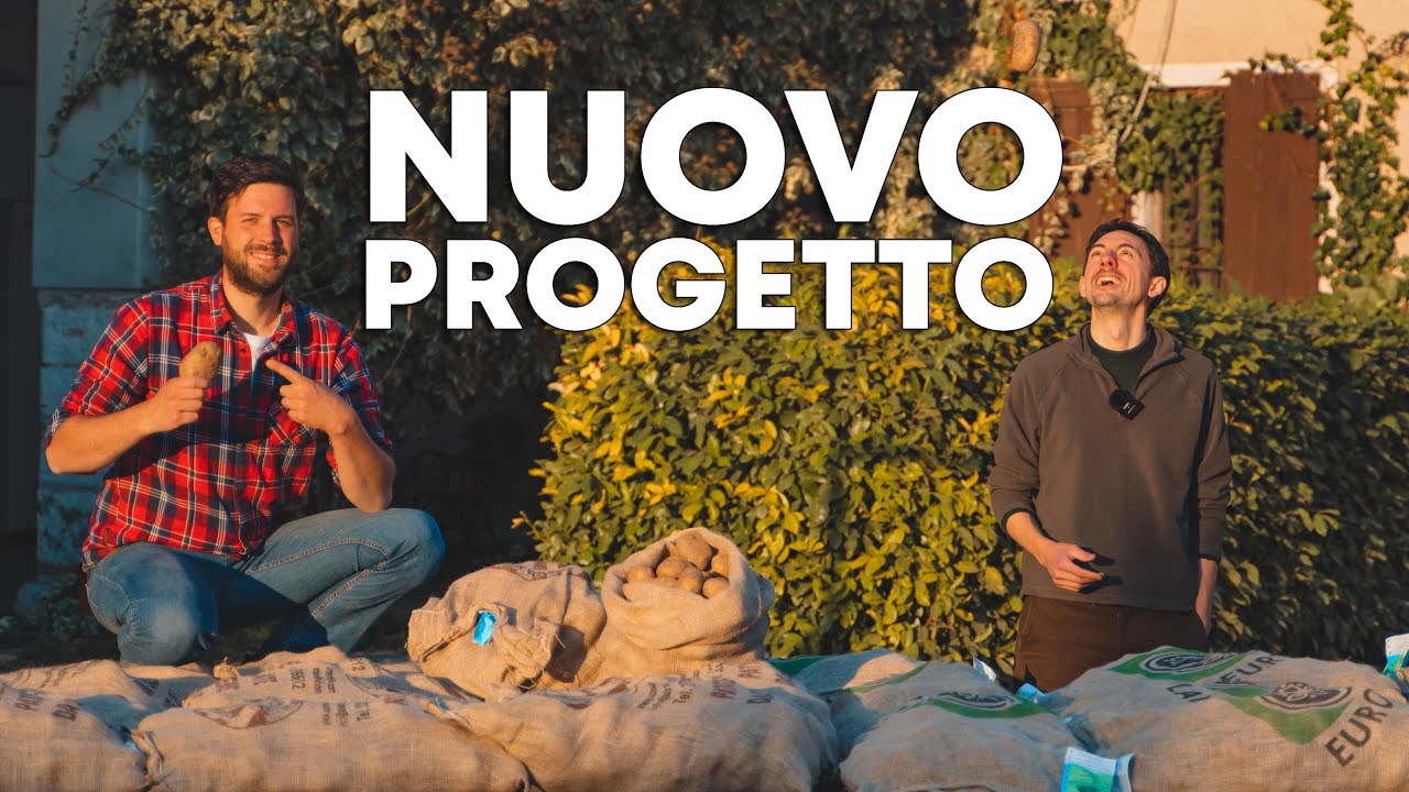 Ho COMPRATO 1000€ di PATATE