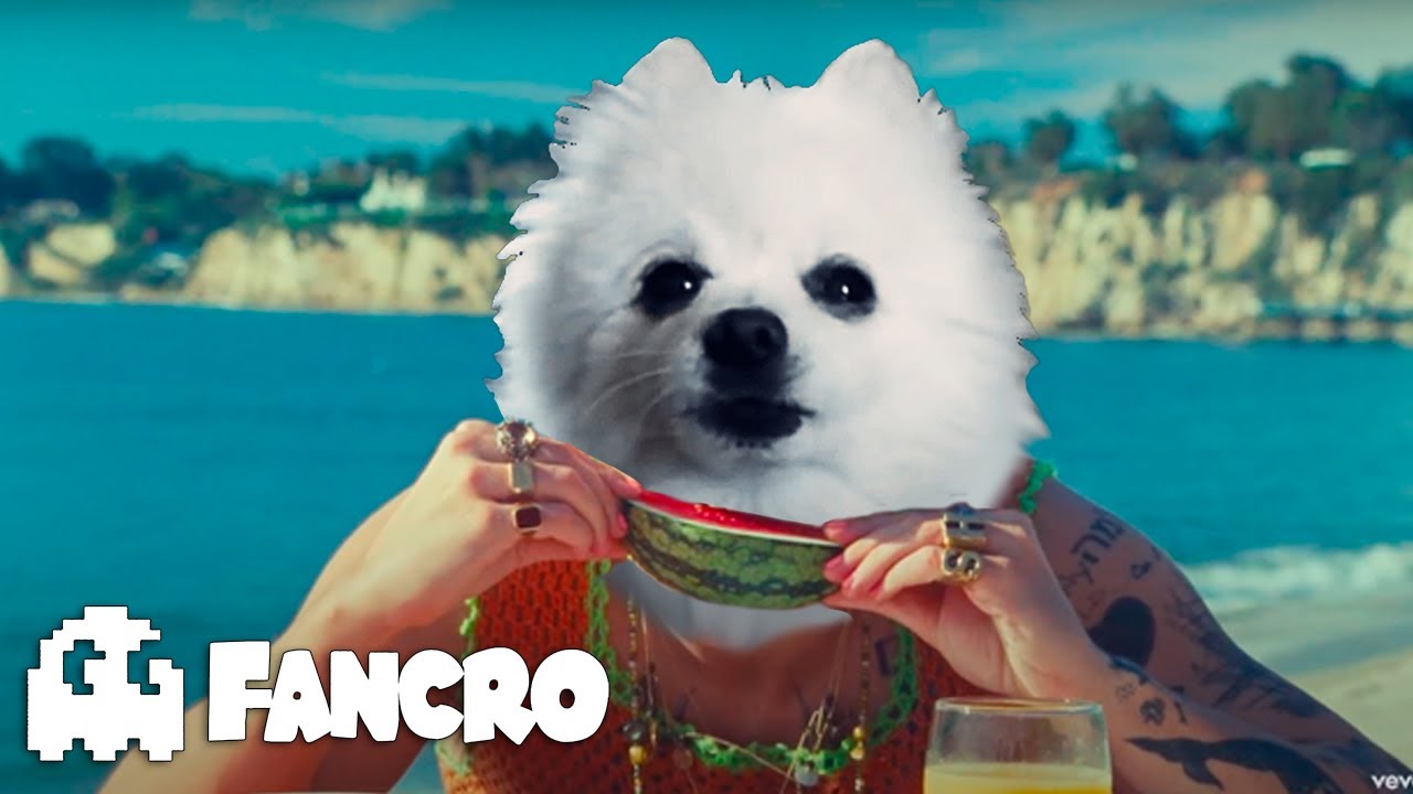 Harry Styles - Watermelon Sugar (Cover Gabe the Dog)
