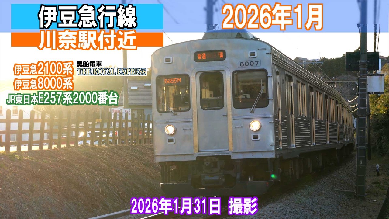 【伊豆急行線】川奈駅 2026年1月 8000系 2100系「THE ROYAL EXPRESS」「黒船電車」　E257系