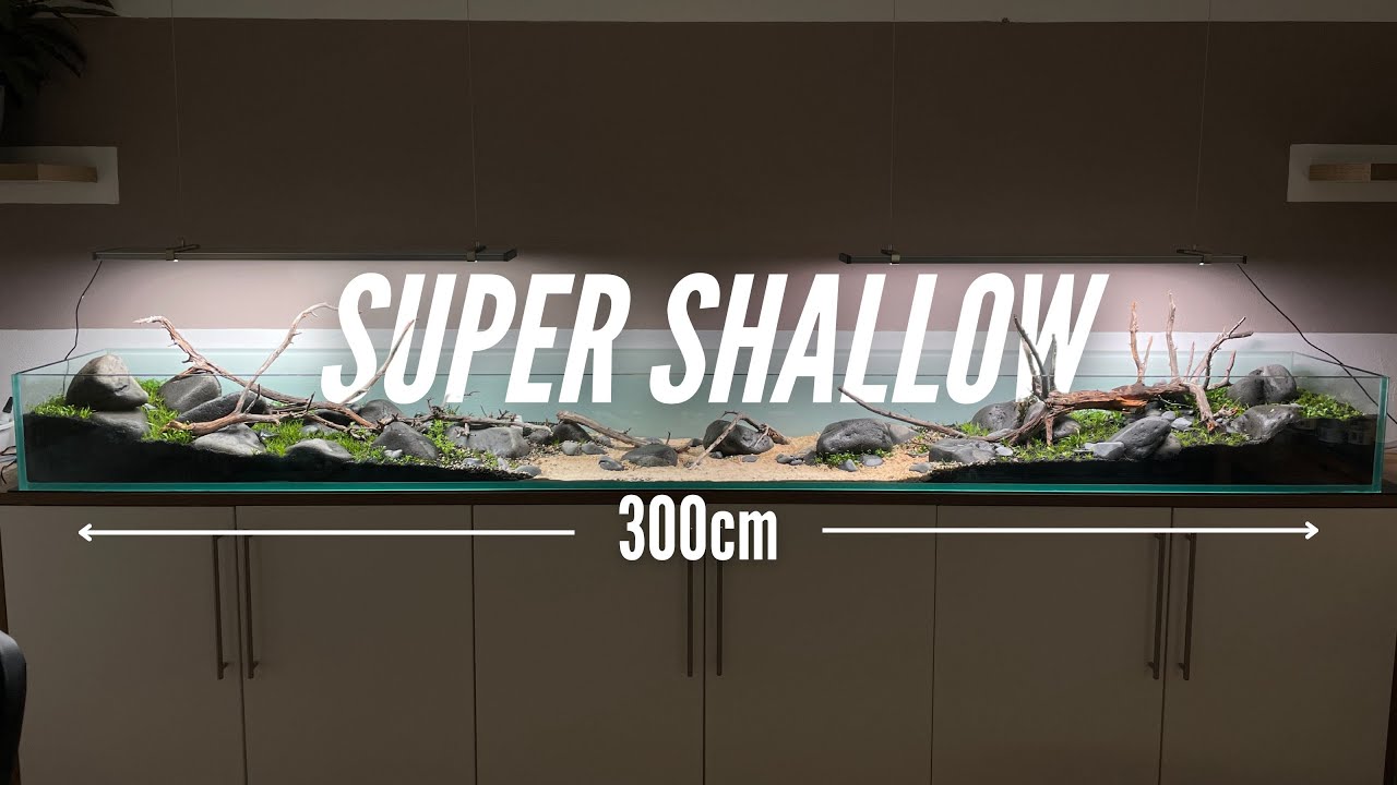 300cm Riverbed Cross Section Aquascape Tutorial