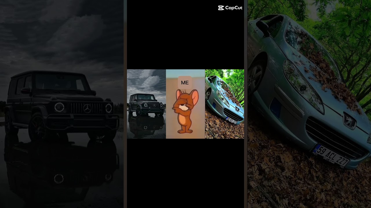 Mercedes G Class VS Peugeot 407 ?