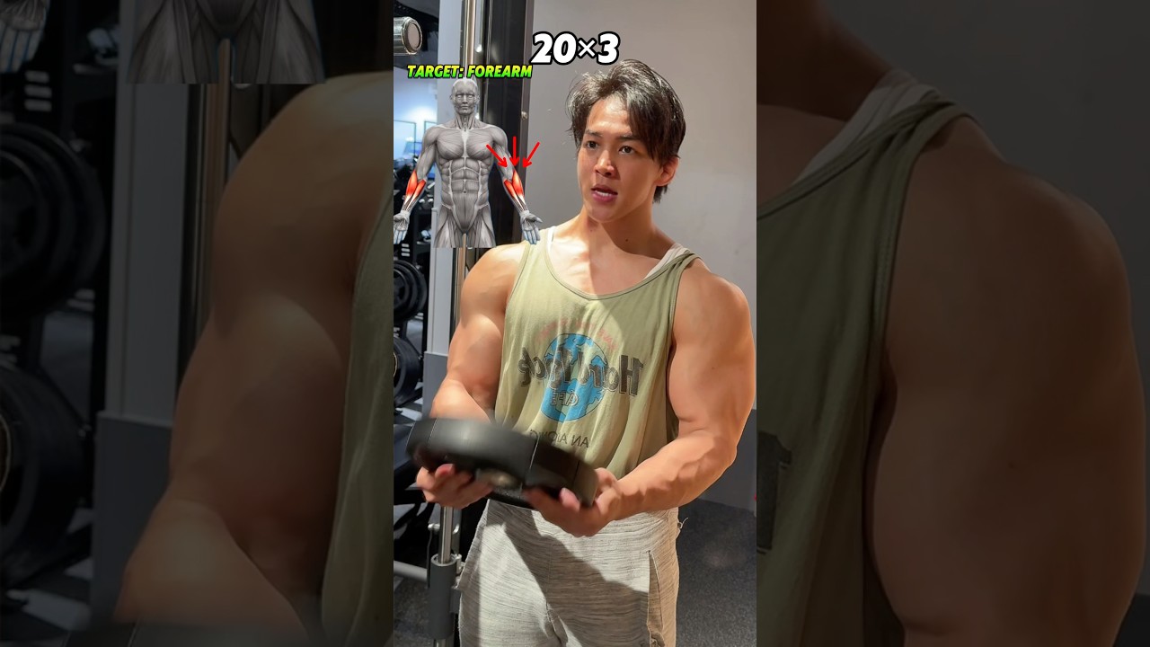 3 exercises to build perfect forearms using only plates‼️