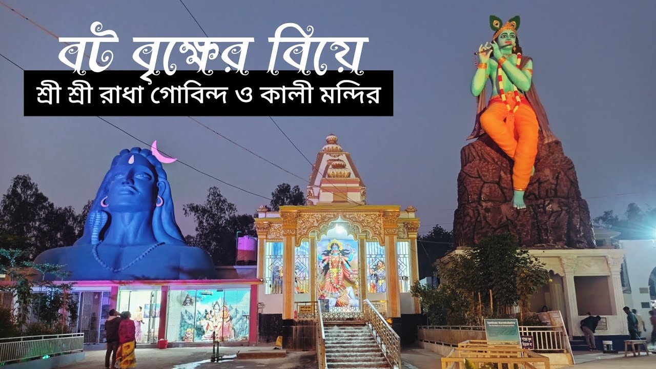 বটবৃক্ষের বিয়ে।। শ্রী শ্রী রাধা গোবিন্দ ও কালী মন্দির।। কোমরপুর,পলাশবাড়ী, গাইবান্ধা।