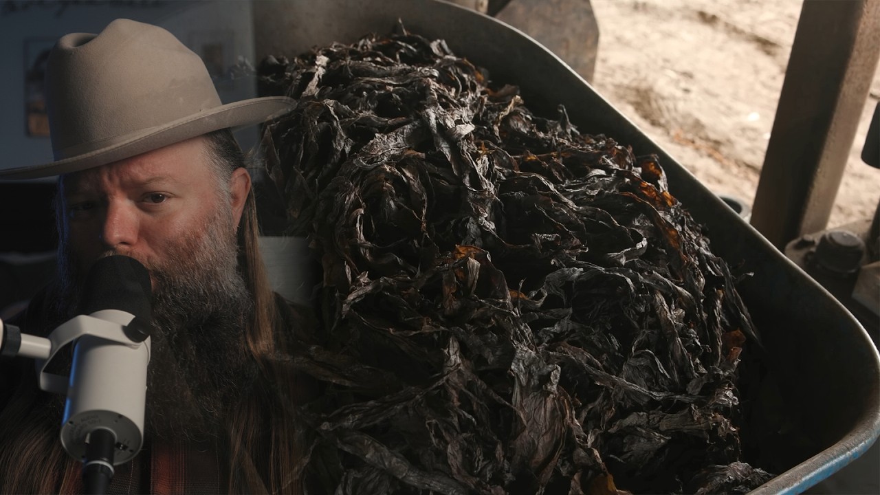 Why Perique Is the Rarest Tobacco in the World