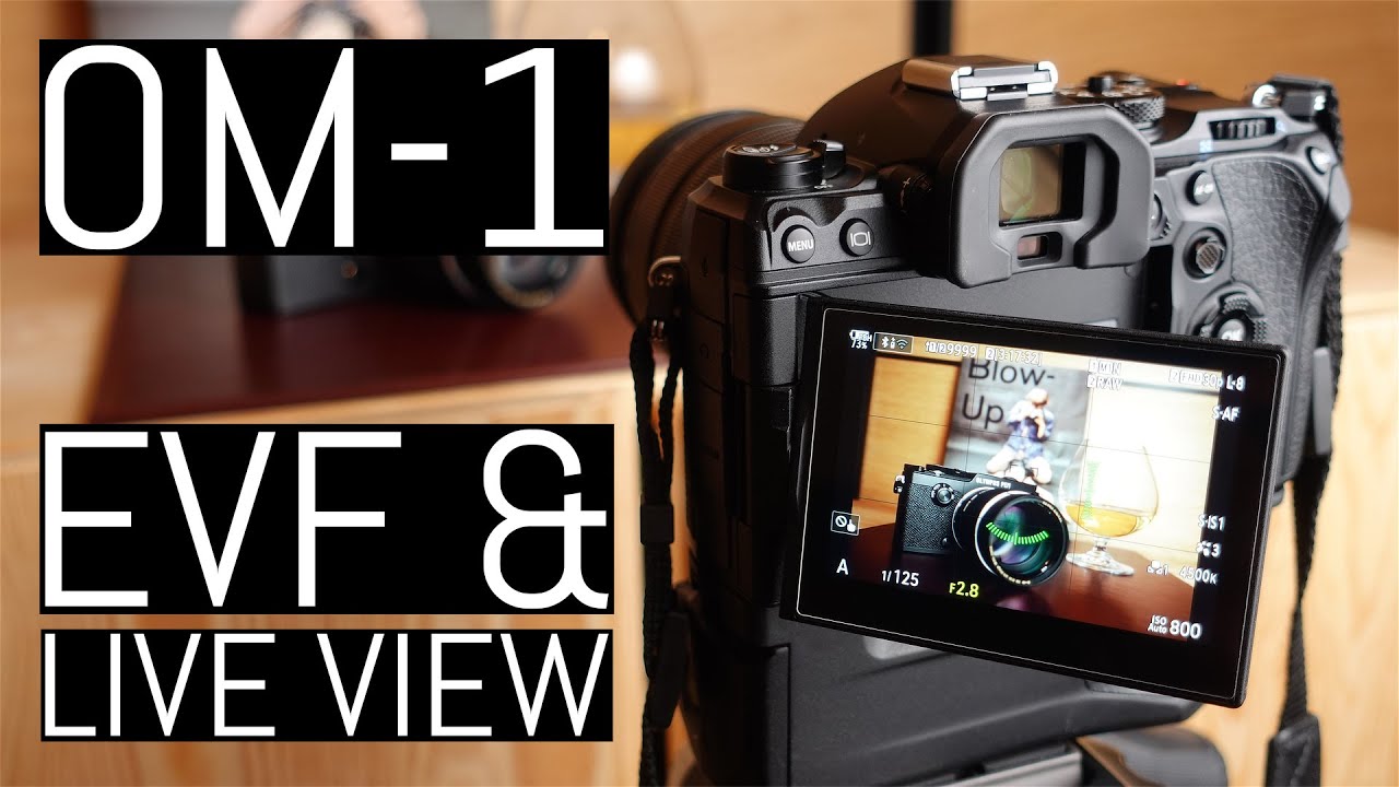 OM System OM-1: Electronic Viewfinder and Live View Deep Dive