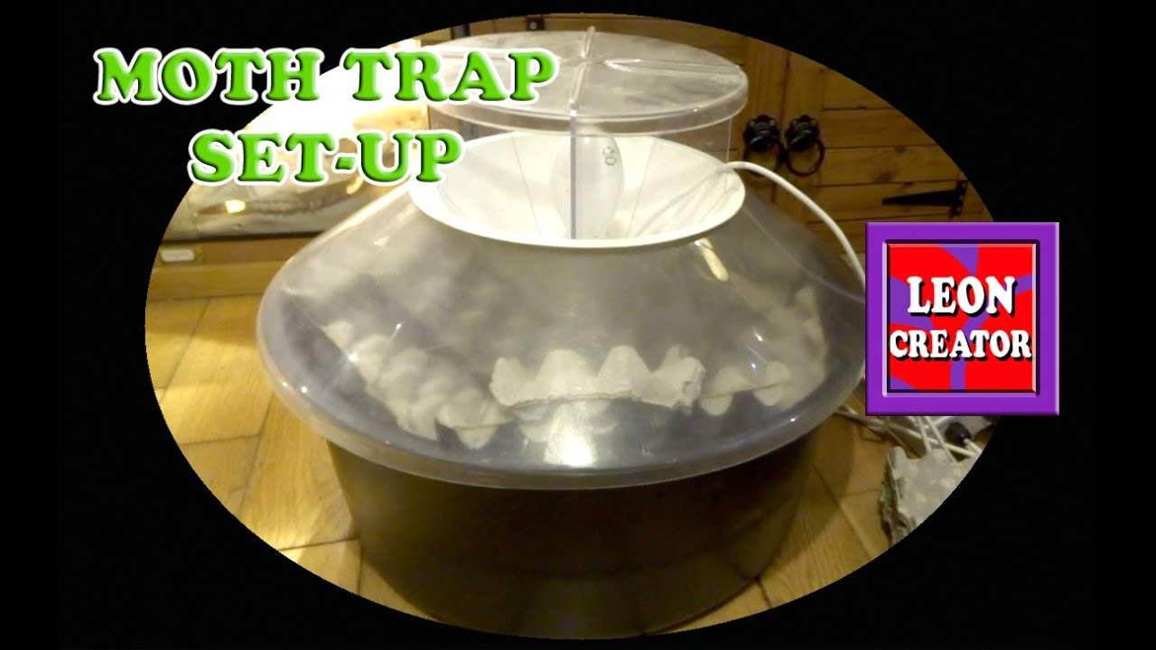 Setting up a ROBINSON (Mercury Vapour Bulb) MOTH TRAP - with Leon Hills - LEON CREATOR