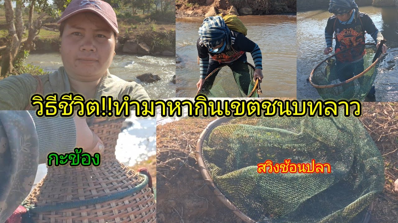 วิถีชีวิตทำมาหากินเขตชนบท15 มกราคม ค.ศ. 2026#ฝากกดติดตามด้วย 