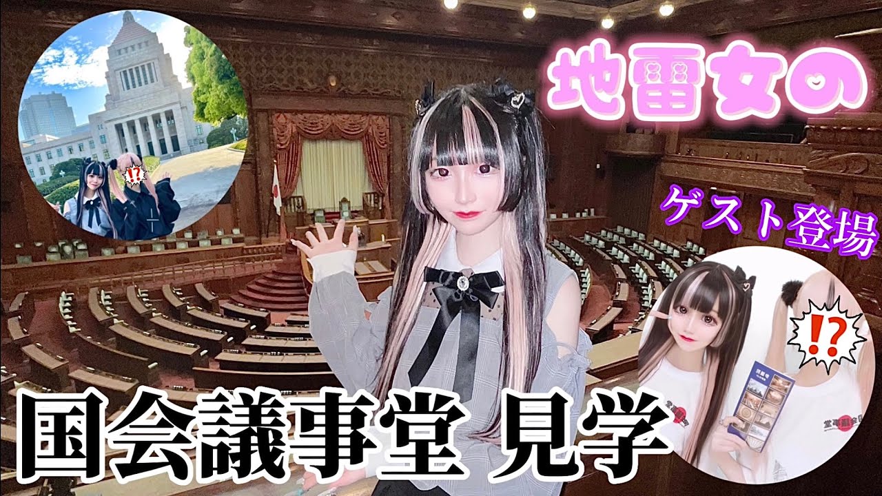 【参議院】地雷女の国会議事堂見学 #地雷系 #量産型 #政治