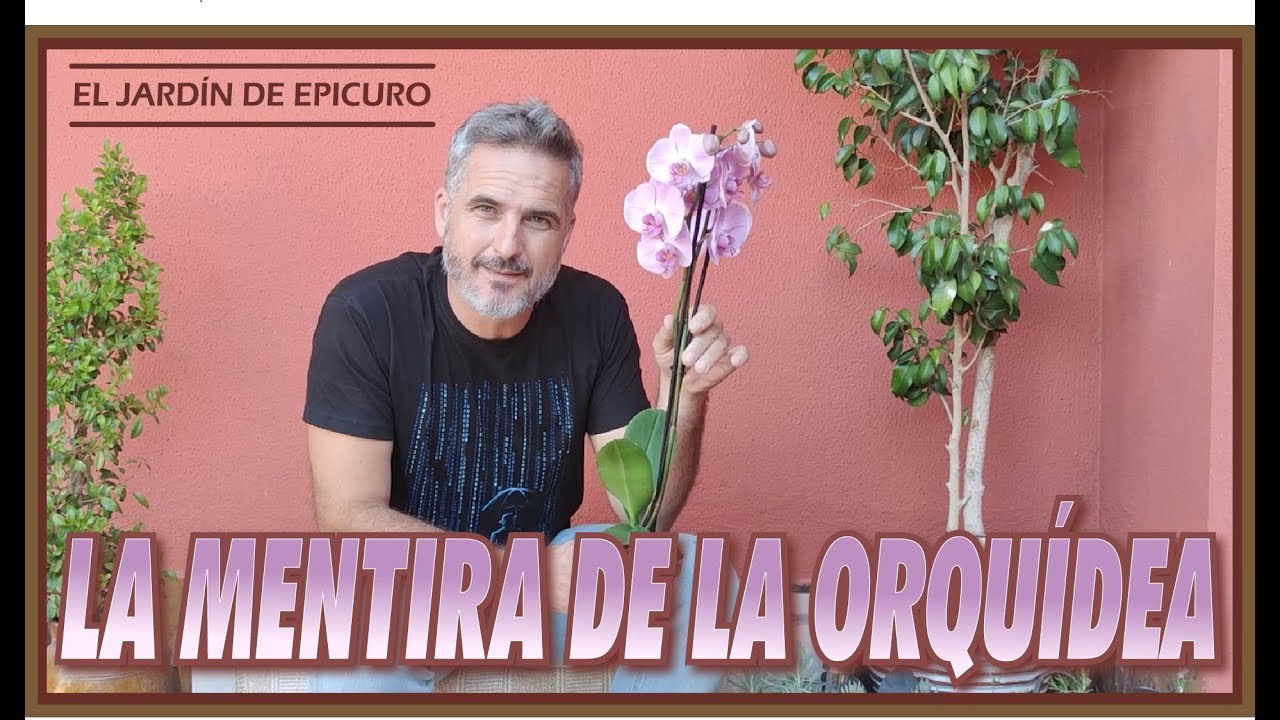 La mentira de la Orquídea