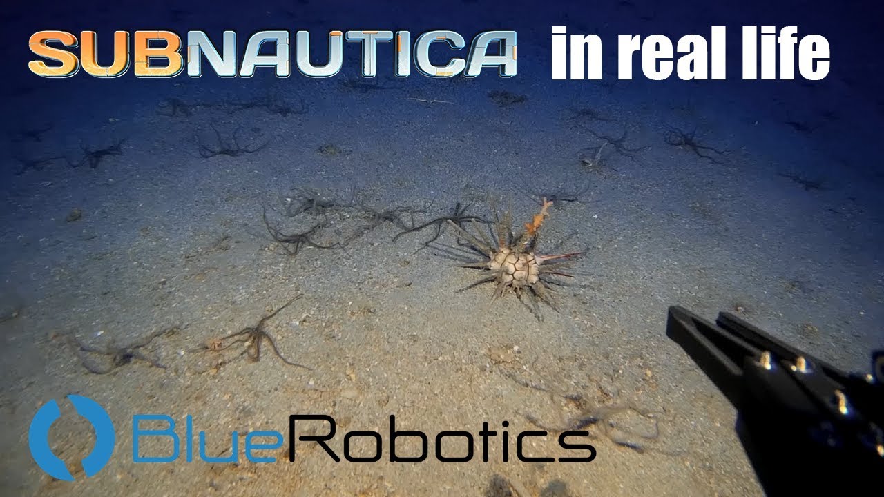 Exploring the deep with an amateur ROV - BlueROV2