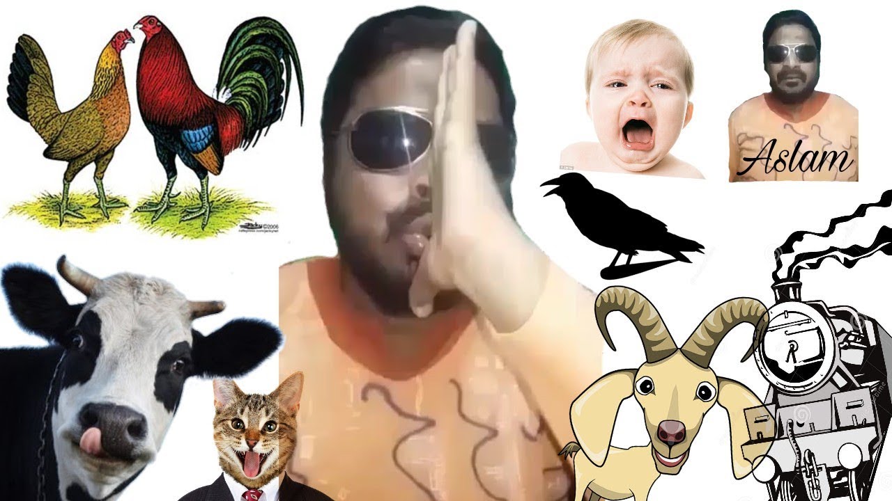 God's Gift | Man Making Sound Of Various Animal | Crying Baby | Train