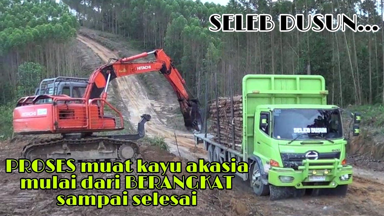 PROSES muat kayu akasia mulai dari BERANGKAT sampai selesai part 1