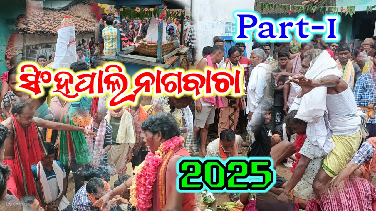 Singhpali nagbacha video 2025 part 1 #naagbacha #singhpalinaagbacha #singhpali #aamarsinghpali