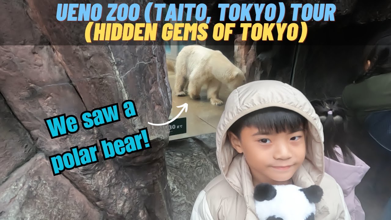 Exploring Ueno Zoo: A Day in Taito, Tokyo's Wildlife Wonderland!