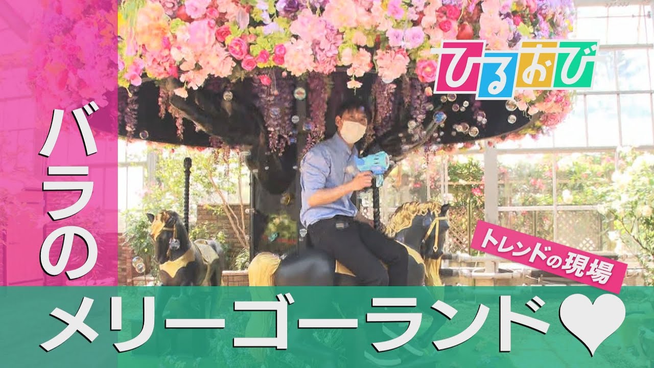 【ひるおび】今が見頃！１万本のバラが咲きほこる「京成バラ園」を山本匠晃アナがご紹介