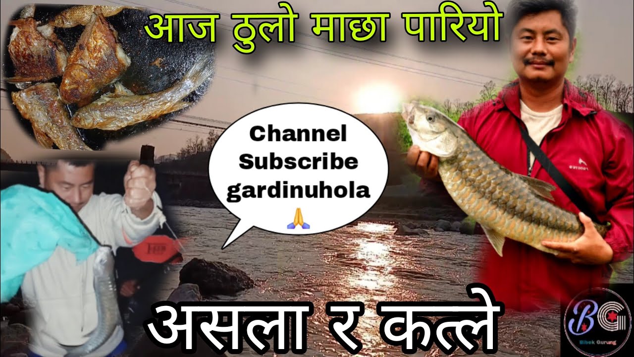 आज ठुलो माछा फुत्कियो। Fishing With Brothers. #fishing #fish #masheer 
