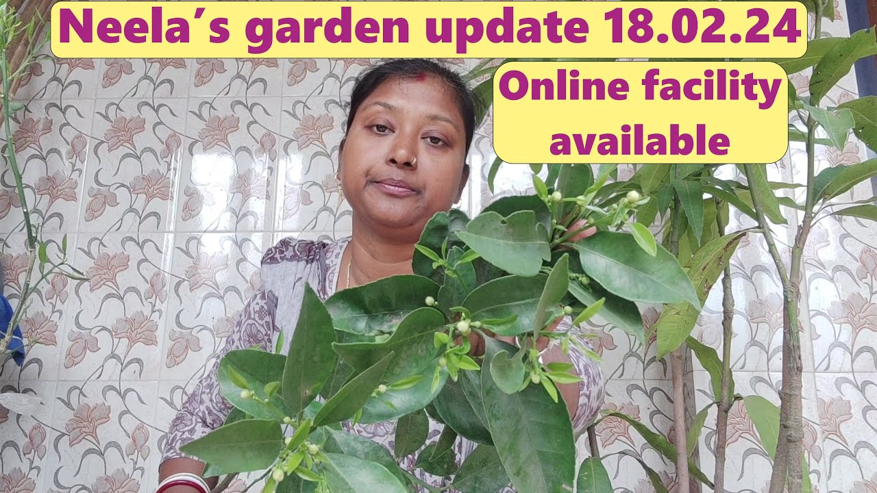 Neela's garden update 18.02.24