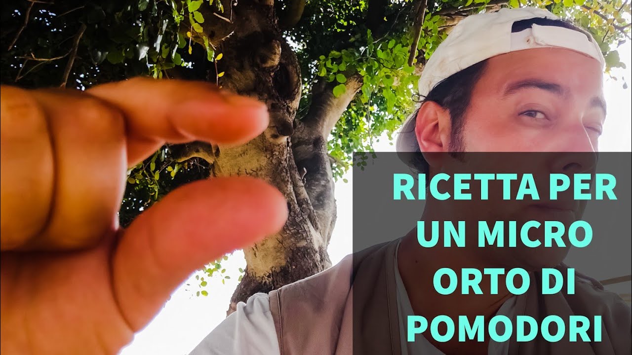 Ricetta per un Micro Orto di Pomodoro da 1 metro quadro