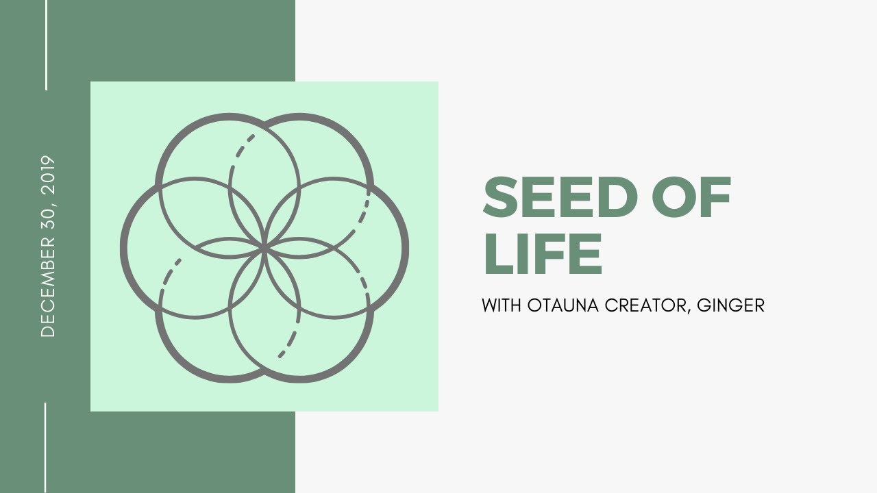 How to draw the SEED OF LIFE