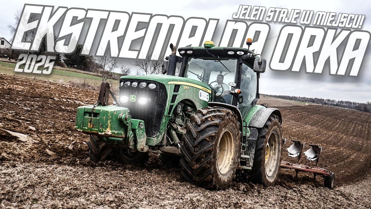 ✩ 🇵🇱 EKSTREMALNA ORKA 2025 NA ROZTOCZU! ✩ JELEN STAJE W MIEJSCU?! ✩ JOHN DEERE 8245R ✩ GR DYBIOCH ✩