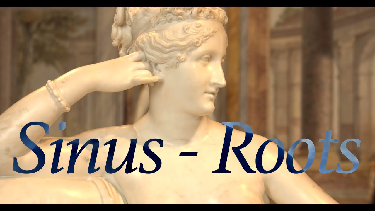 Sinus - Roots