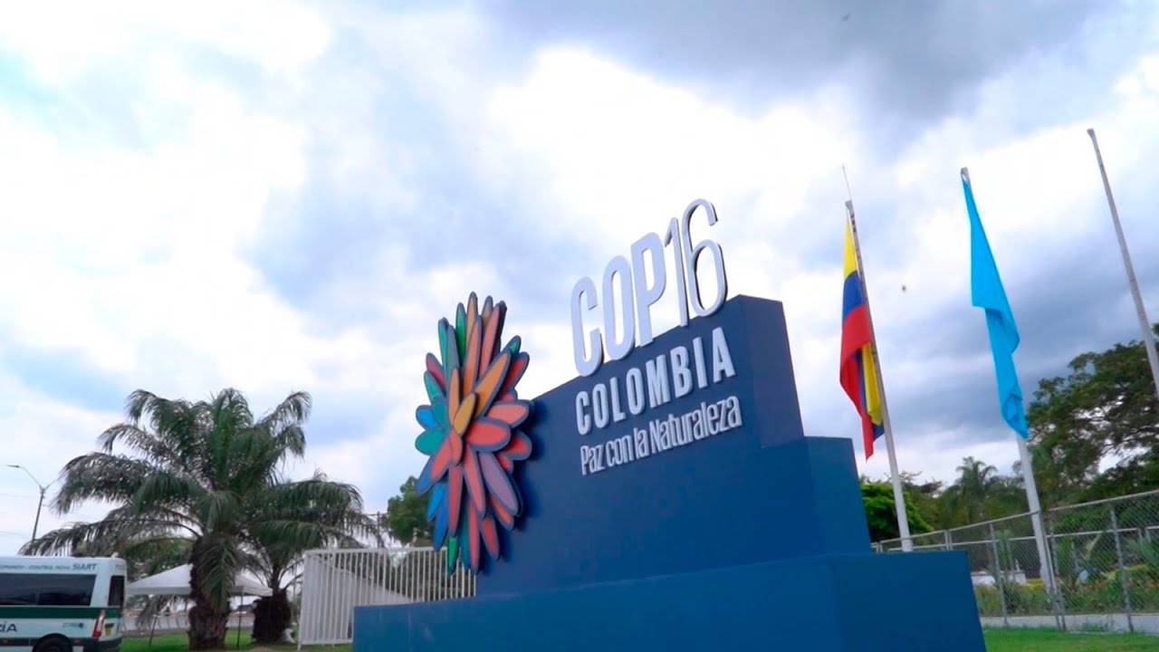 Entérese del Cambio: Balance COP16 - Colombia le cumplió al mundo