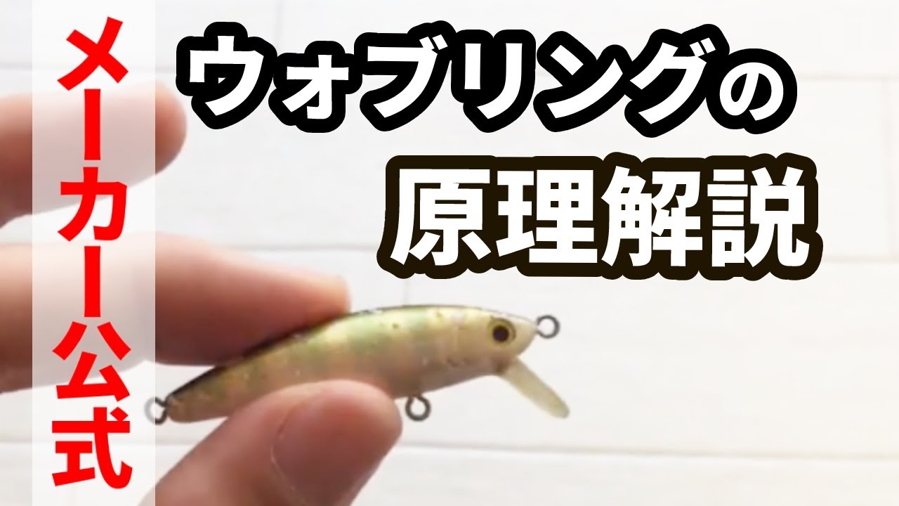 目で見るウォブリングの原理