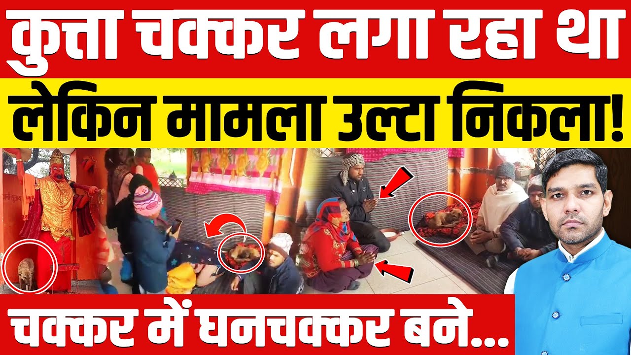 Viral Dog Video In Temple:कुत्ता चक्कर लगा रहा था लेकिन मामला उल्टा निकला!| घनचक्कर बने!| Dharmendra