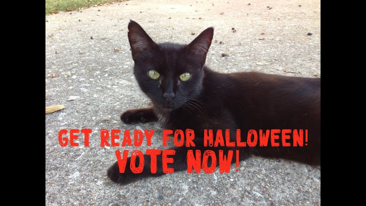HALLOWEEN!- REQUESTS!  TUTORIALS!  VOTE NOW!