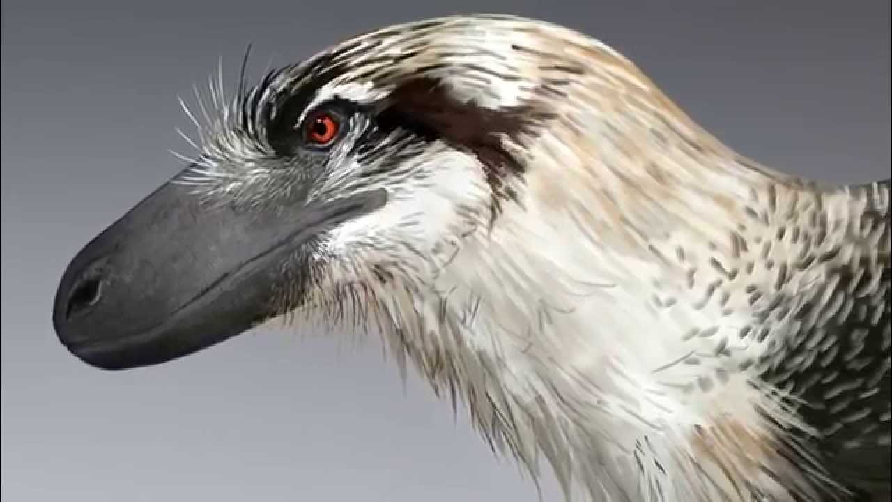 Paleo Profile - Dakotaraptor