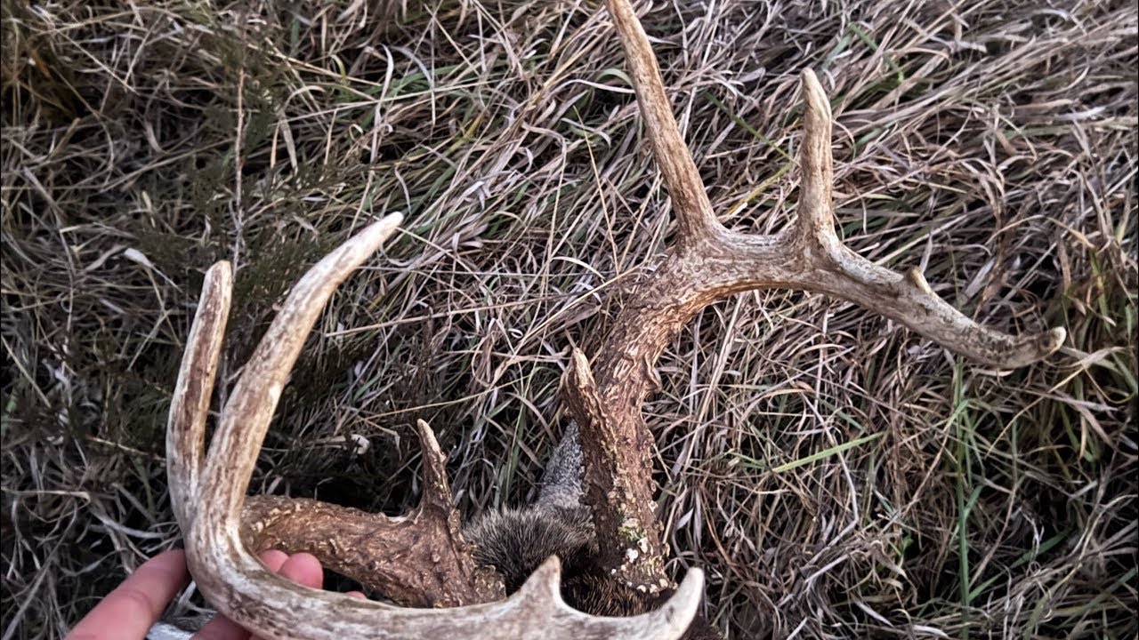 We got nothing today | Builta Outdoors #live