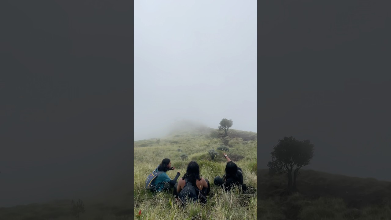 Brotherhood #hiking #mountains #travel #nature #adventure #brotherhood #fyp #hills #hiking #tropical