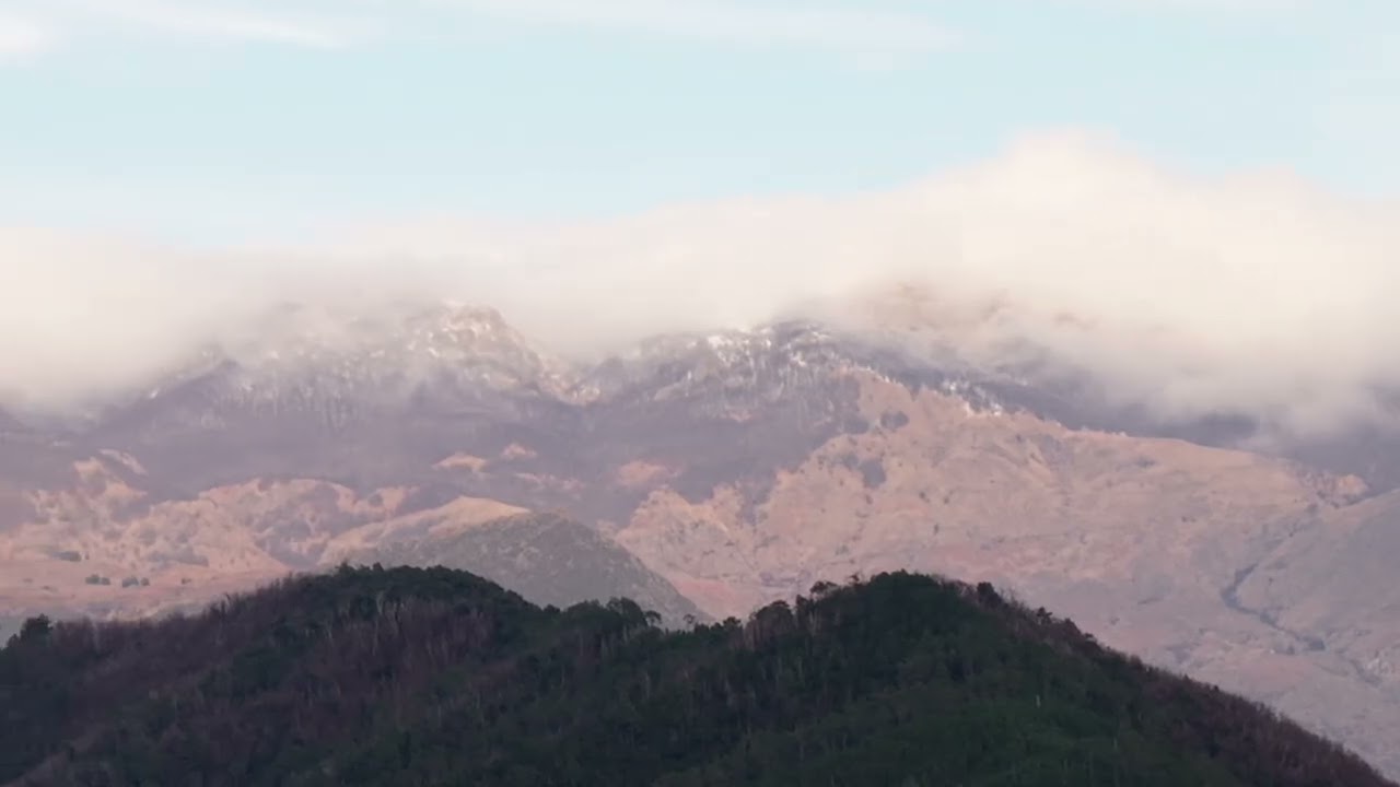 SANMARTINO040126