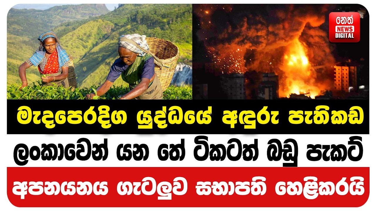 මැදපෙරදිග යුද්ධයේ අඳුරු පැතිකඩ ලංකාවෙන් යන තේ ටිකටත් බඩු පැකට්අපනයනය ගැටලුව සභාපති හෙළිකරයි