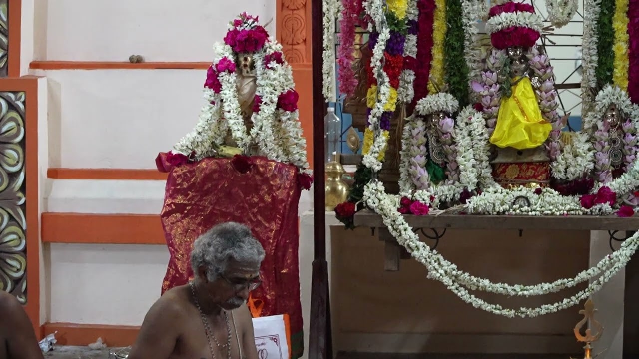 முருகர்  வள்ளி தெய்வானை திருக்கல்யாணம் | நெய்வேலி திருமுருகன் ஆலயம் வட்டம் 16 | பங்குனி உத்திர விழா