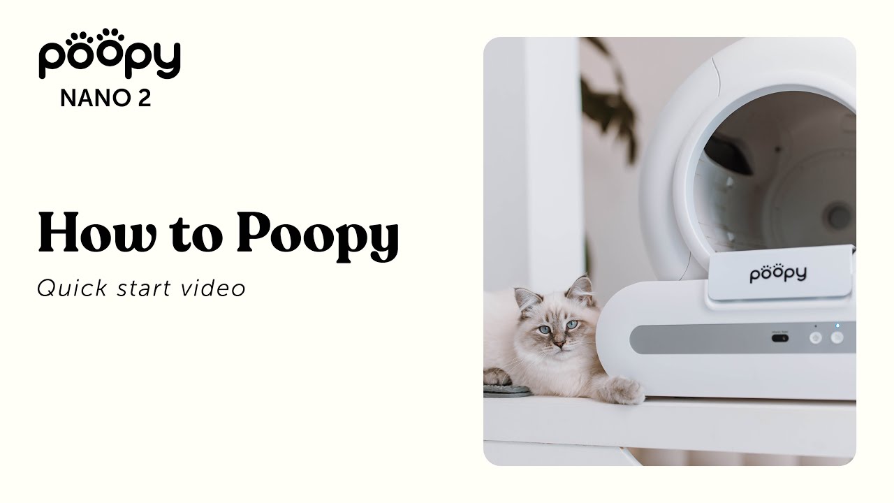 How to Poopy – Quick start video