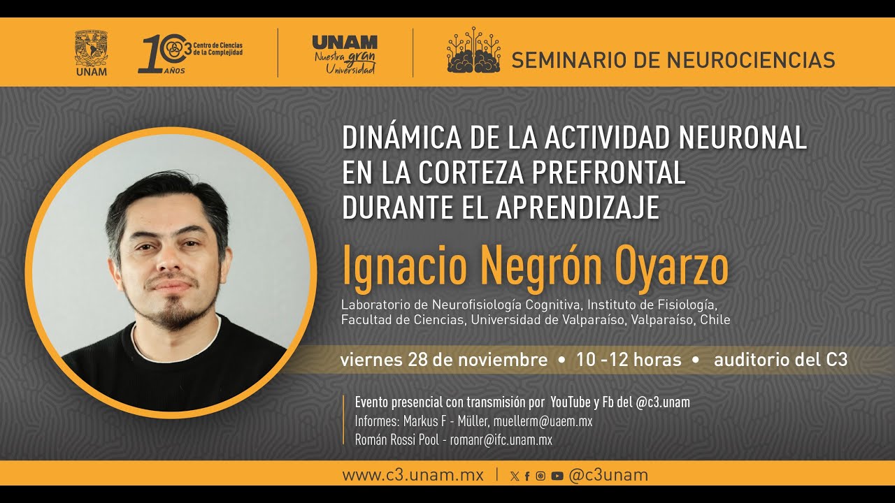 Din&aacute;mica de la actividad neuronal en la corteza prefrontal durante el aprendizaje
