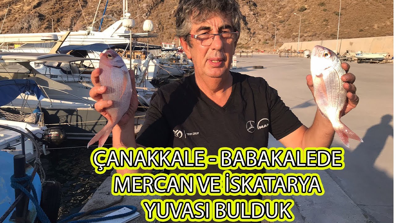 ÇANAKKALE BALIK AVI !!! İRİ MERCAN VE İSKATARYA YUVASI BULDUK !! BALIK AVI VİDEOLARI