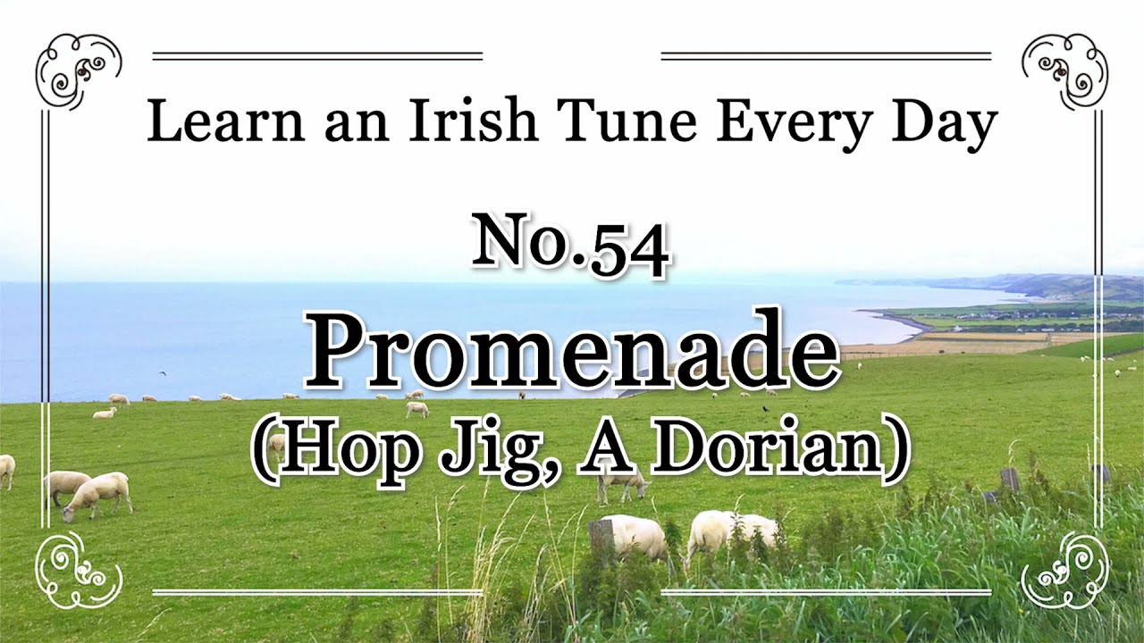054 Promenade (Hop Jig, A Dorian) Learn an Irish Tune Everyday.