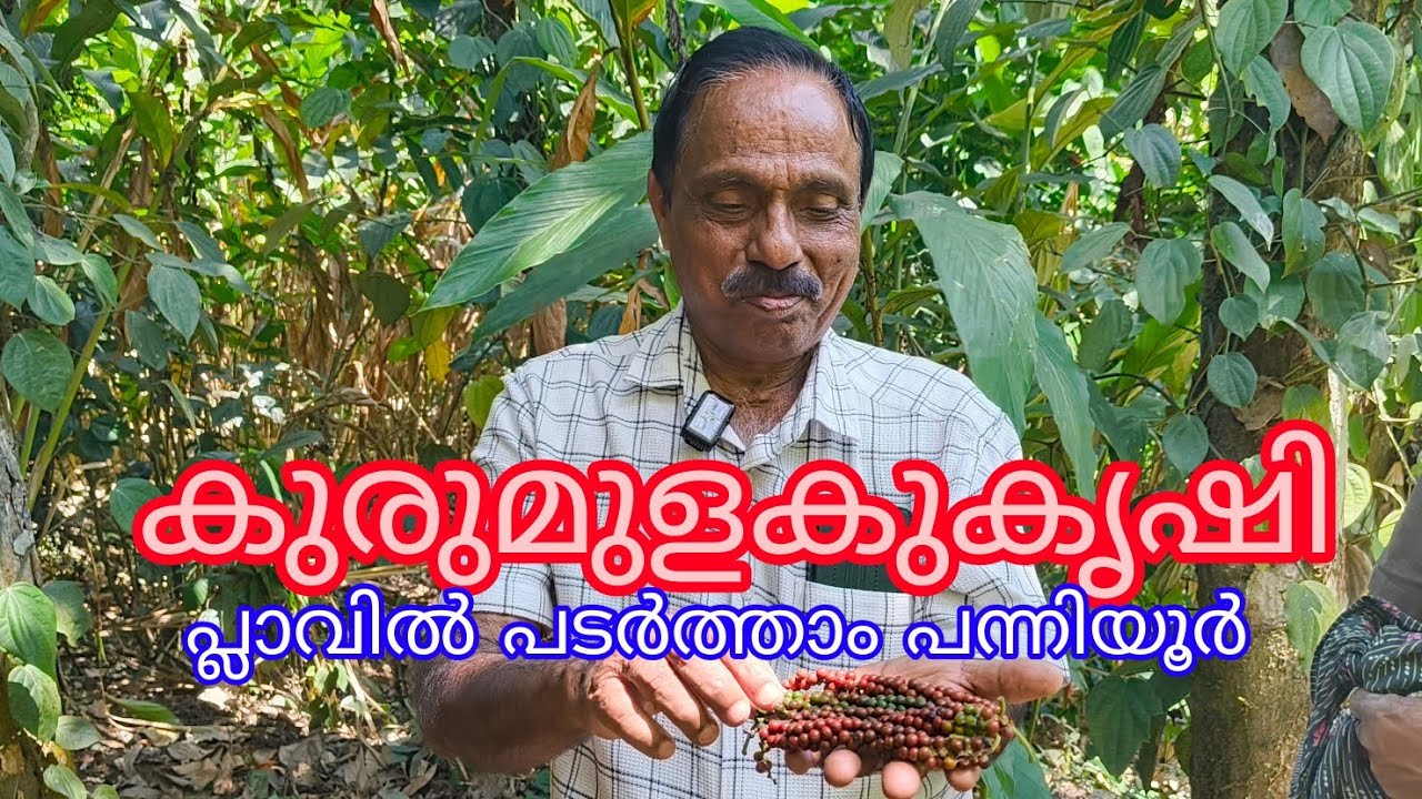 Panniyoor pepper#joseph Sir#Antony Muniyara Vlogs